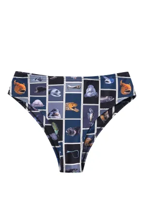 Cuter Fish Cheeky Swim Bottoms